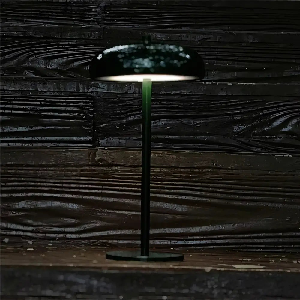 Luminária de Mesa Abajur Minimalista Moderna Sem Fio Radiant