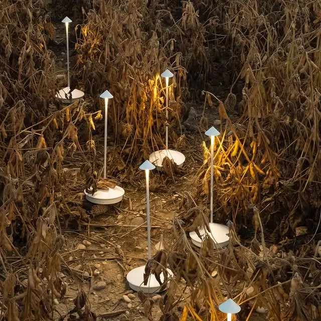 Luminária de Mesa Sem Fio Recarregável Pina Pro Luminária portátil com bateria de longa duração e ajuste de luz A Luminária de Mesa Pina Pro é um dos modelos mais desejados entre as luminárias sem fio recarregáveis de alto padrão. Com autonomia de até 15 horas, ela oferece iluminação estável e elegante, perfeita para quem busca praticidade e estilo. Seu design minimalista combina com ambientes modernos e sofisticados, como salas de estar, quartos, escritórios e restaurantes refinados. Essa luminária portáti